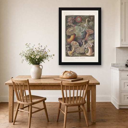 Actiniae Sea Anemones, Plate 49 from Art Forms in Nature by Ernst Haeckel — room mockup