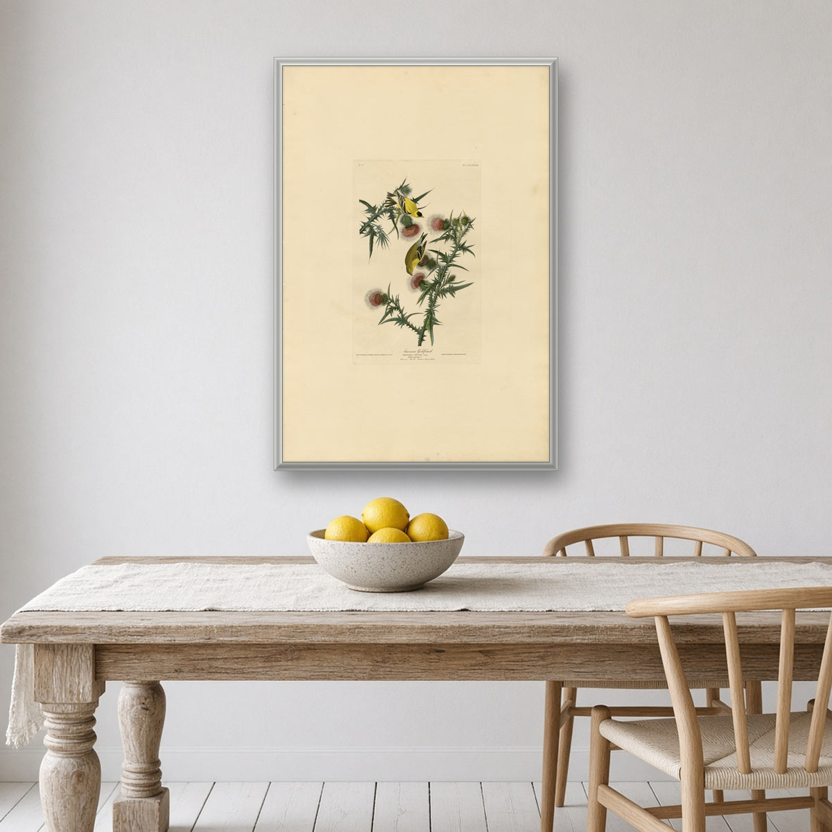 American Goldfinch, Plate 33 from Birds of America by John James Audubon — room mockup