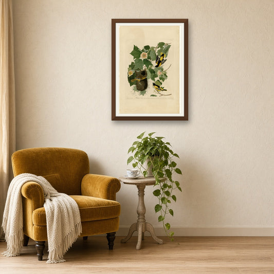 Baltimore Oriole, Plate 12 from Birds of America by John James Audubon — room mockup