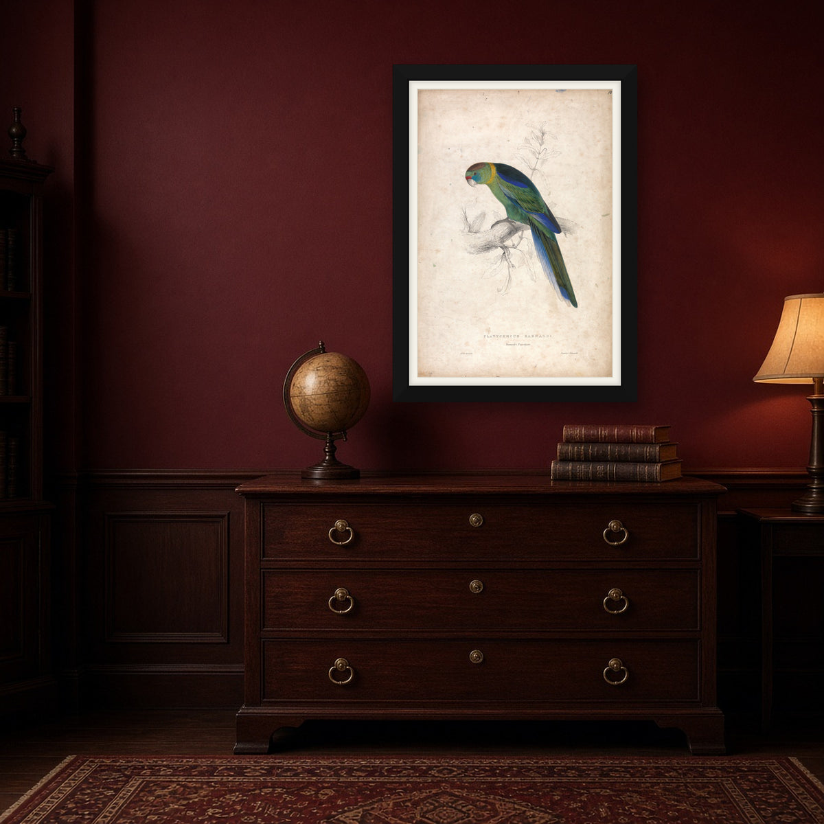 Barnard's Parakeet, Plate 18 from Illustrations of the Family of Psittacidae by Edward Lear — room mockup