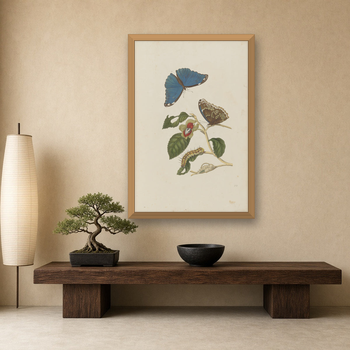 Blue Morpho Butterfly (Plate 53) by Maria Sibylla Merian — room mockup