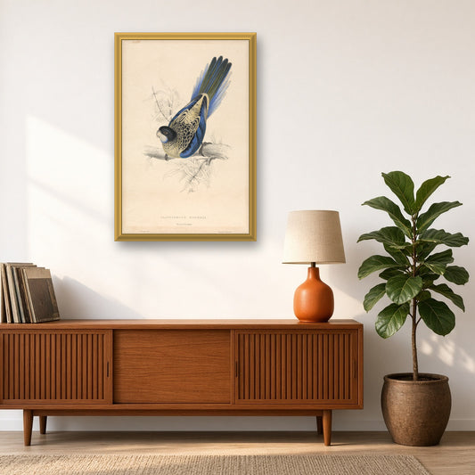 Brown's Parakeet (Platycercus Brownii), Plate 20 from Illustrations of the Family of Psittacidae by Edward Lear — room mockup