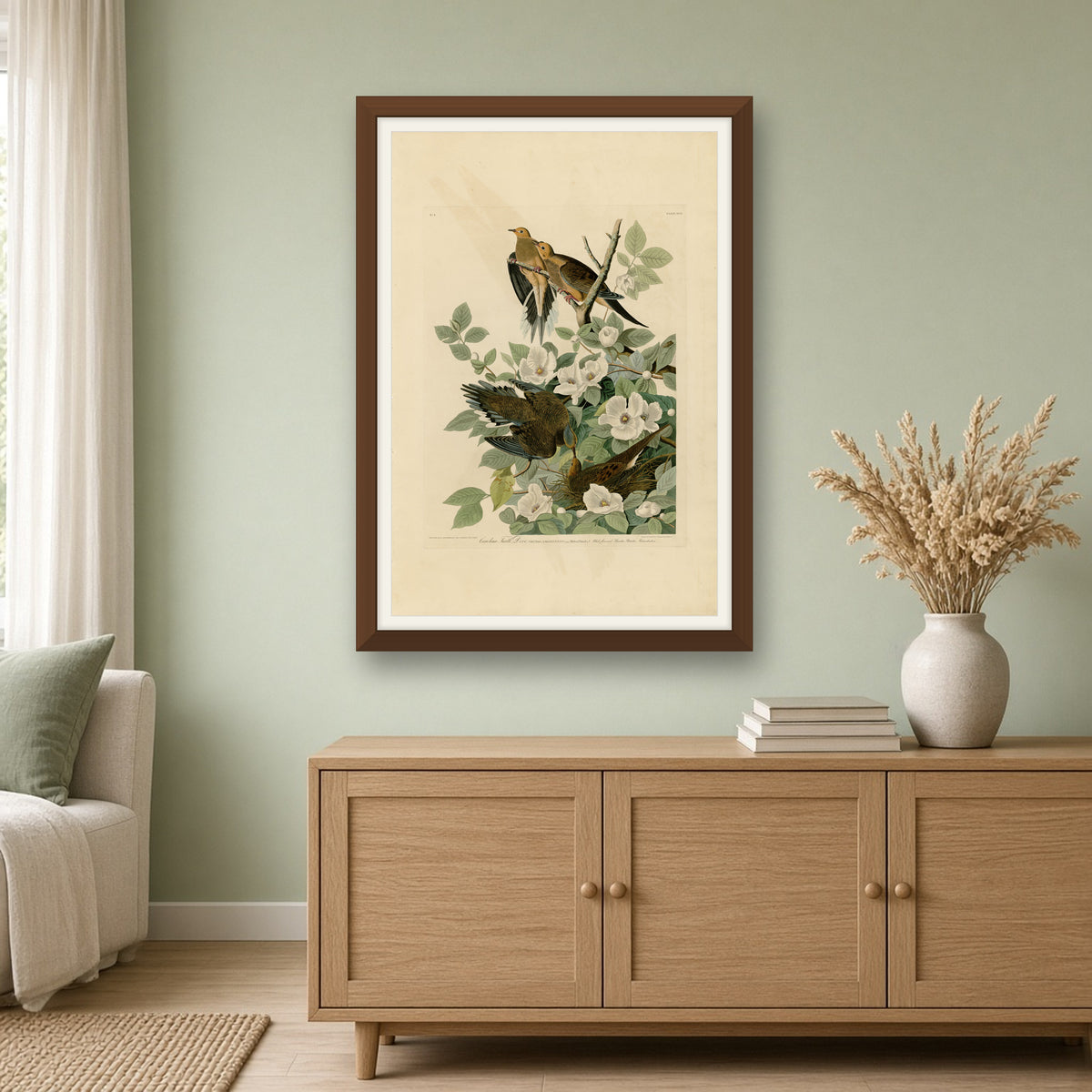 Carolina Turtle Dove, Plate 17 from Birds of America by John James Audubon — room mockup