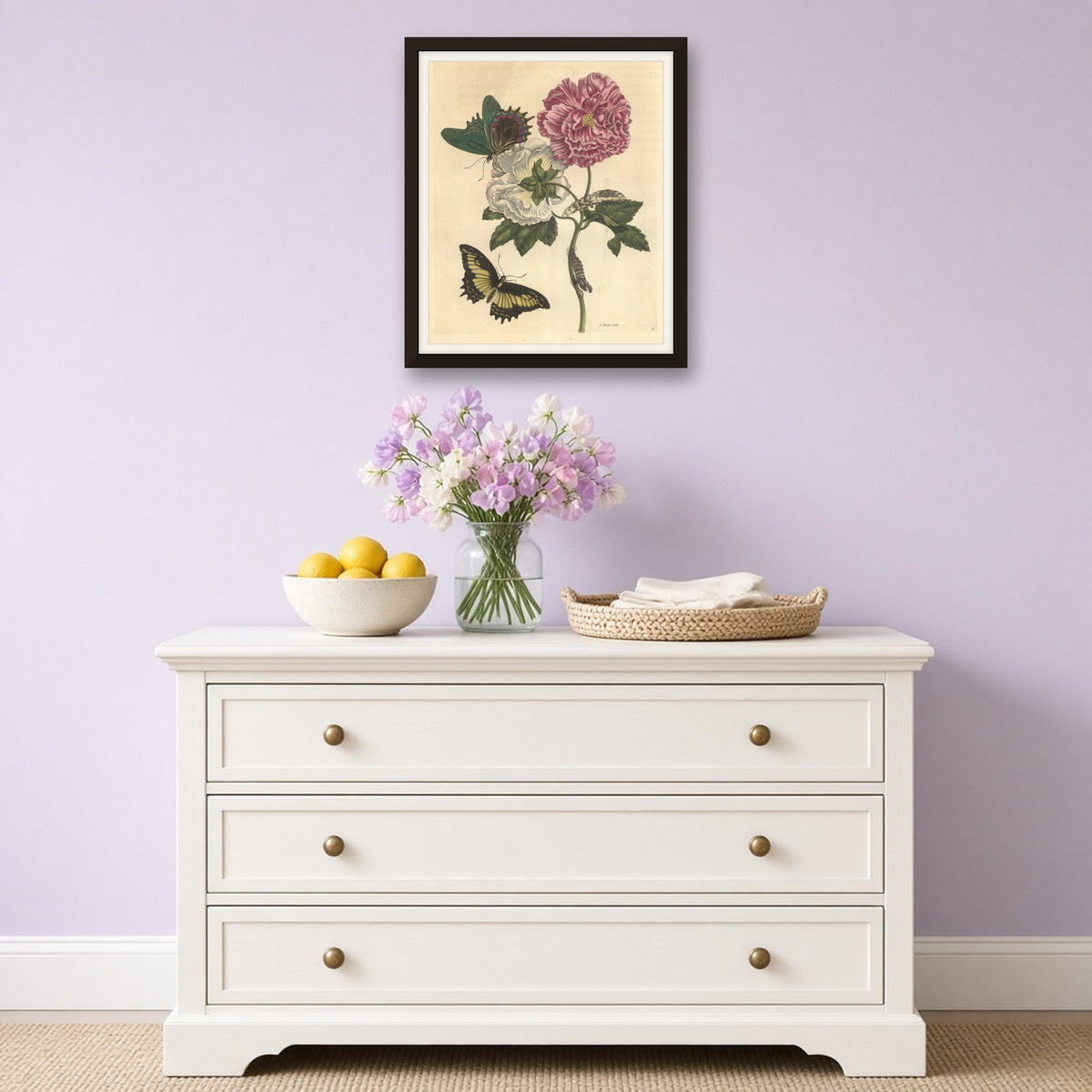 Cotton Rose with Butterflies, Plate 31 from Metamorphosis of the Insects of Surinam by Maria Sibylla Merian — room mockup