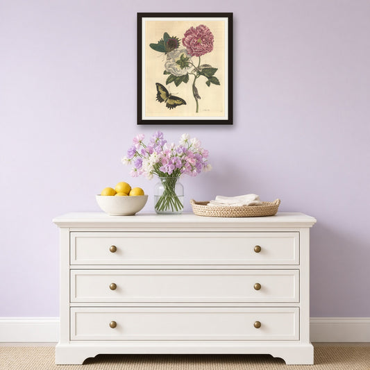 Cotton Rose with Butterflies, Plate 31 from Metamorphosis of the Insects of Surinam by Maria Sibylla Merian — room mockup