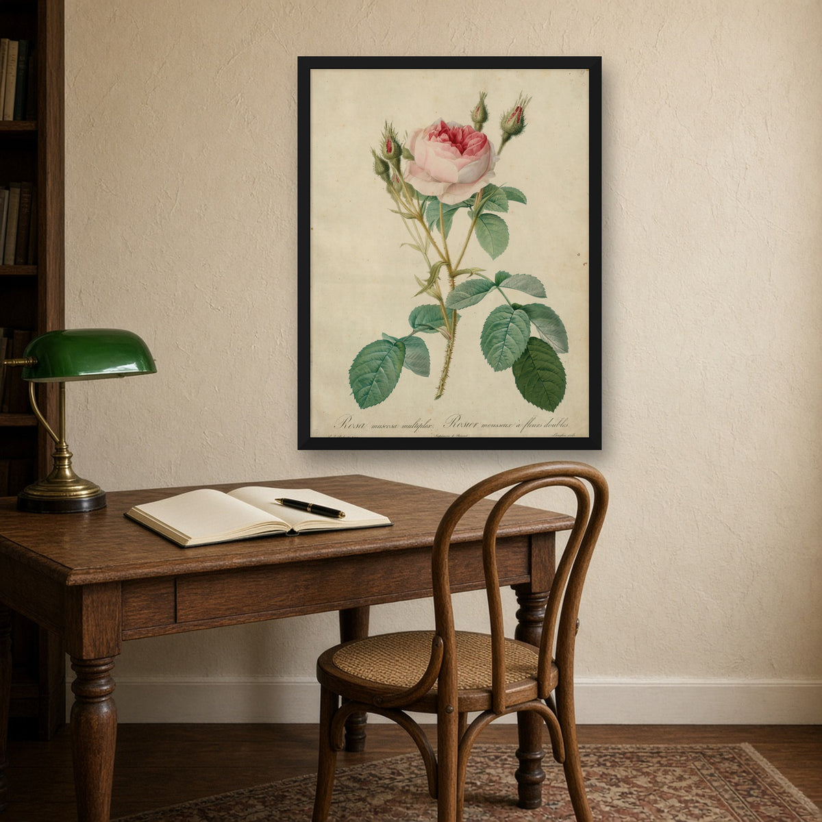 Double Moss Rose (Rosa Muscosa Multiplex), Plate 9 from Les Roses by Pierre-Joseph Redouté — room mockup