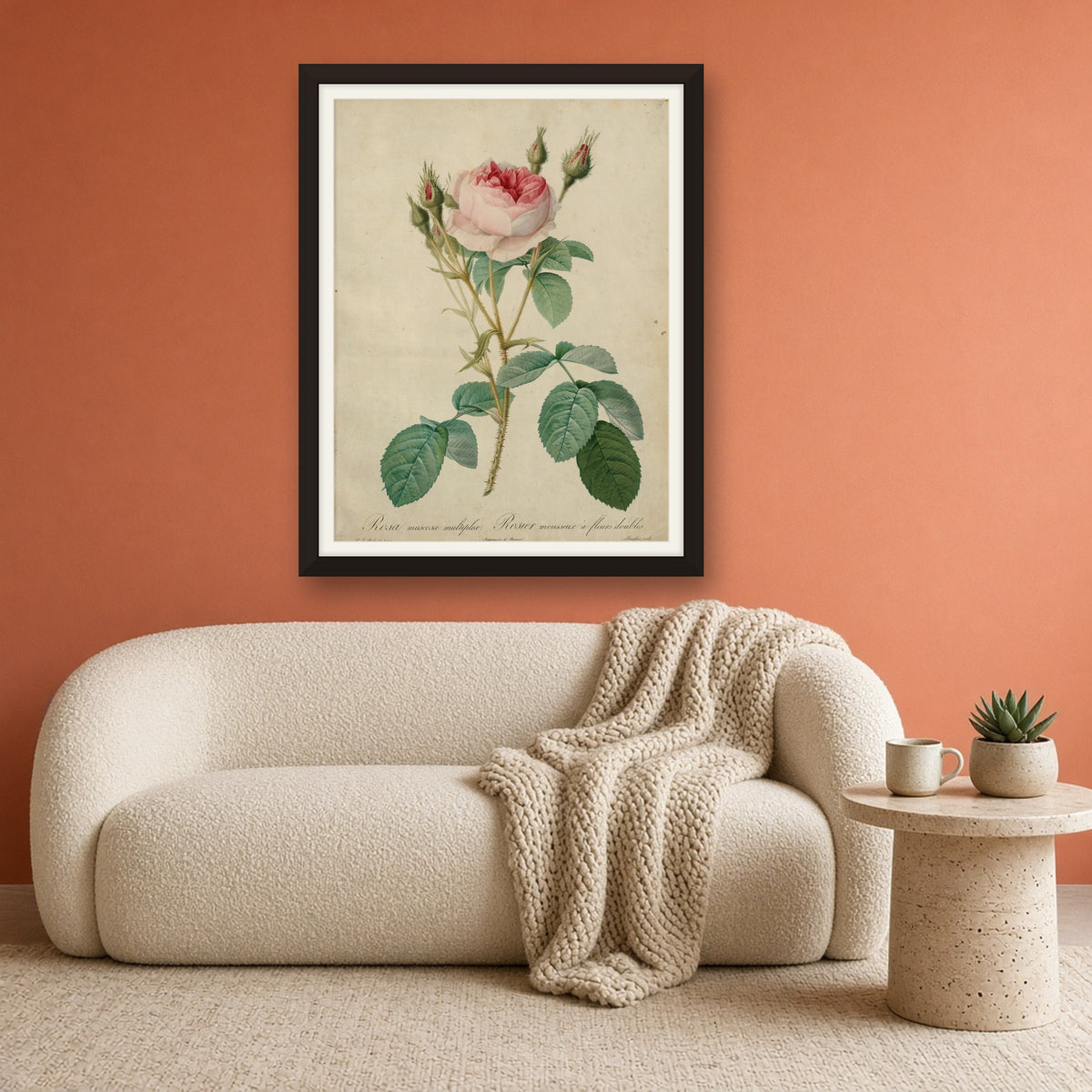 Double Moss Rose (Rosa Muscosa Multiplex), Plate 9 from Les Roses by Pierre-Joseph Redouté — framed art preview