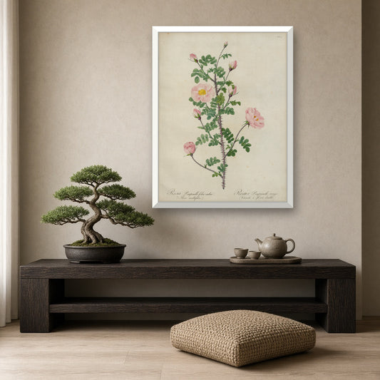 Double Red Burnet Rose (Rosa Pimpinellifolia Rubra), Plate 46 from Les Roses by Pierre-Joseph Redouté — room mockup