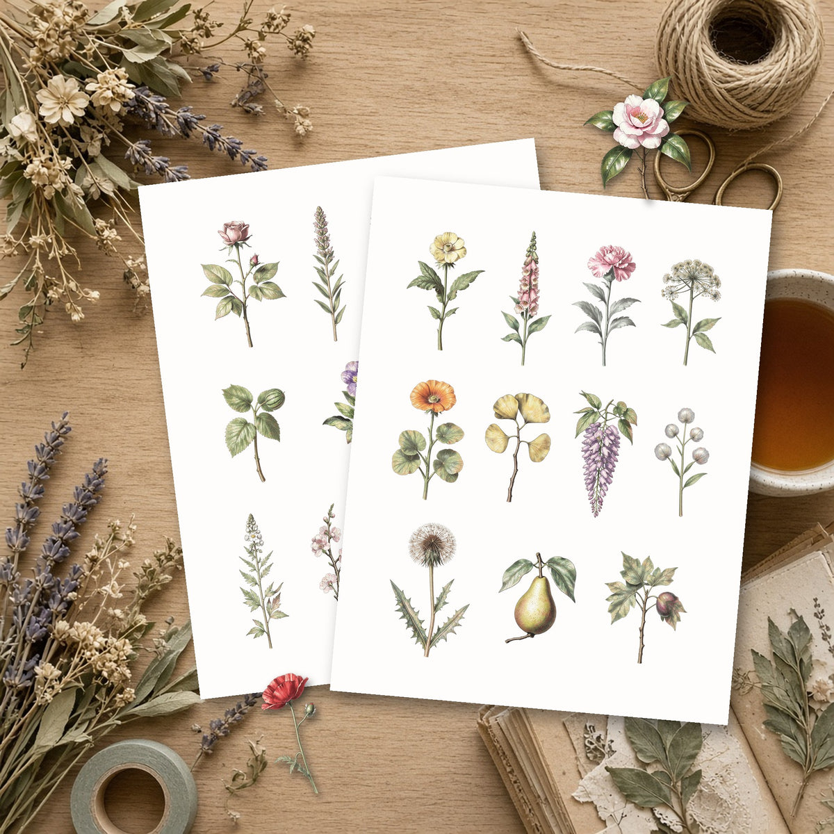 Vintage botanical ephemera printable mockup: two printed sheets of wildflower and garden illustrations on a rustic table
