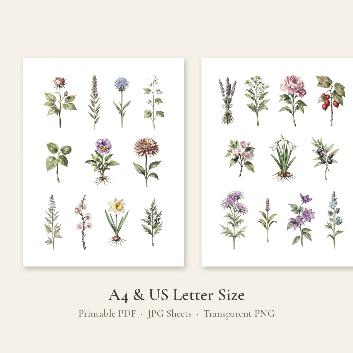 Vintage botanical printable pages 1 and 2 with rose, lavender and wildflower illustrations, A4 and US Letter