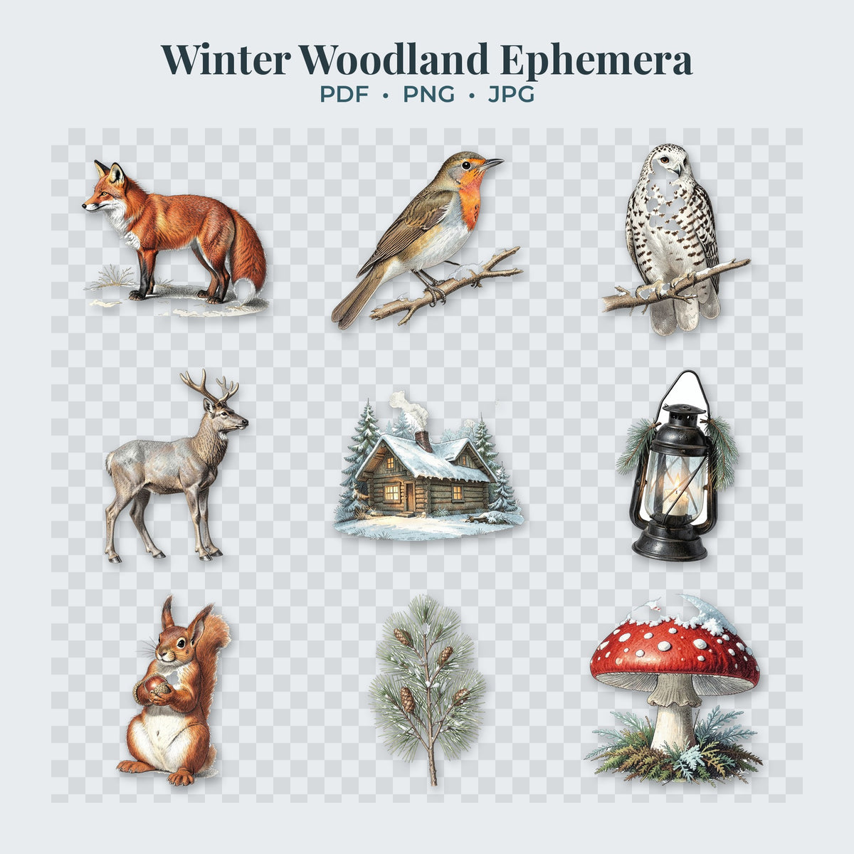 Winter Woodland transparent PNG clipart pieces on a transparent background