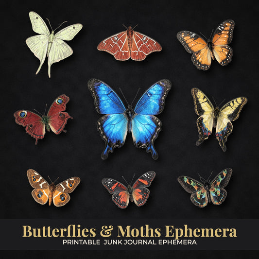 Butterflies and Moths ephemera cut-out pieces on a dark background