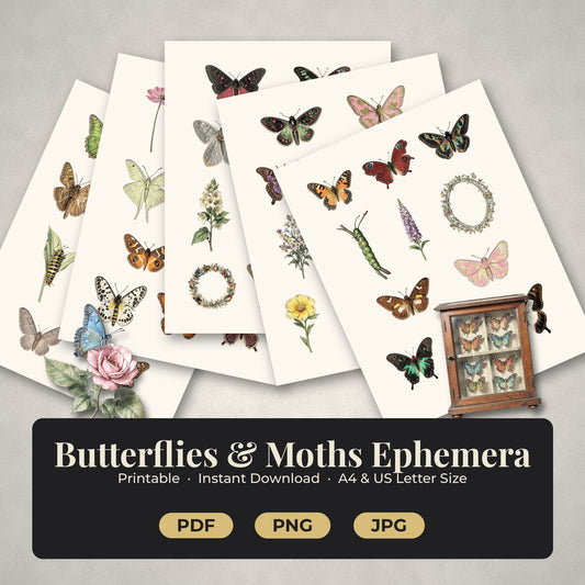 What's included in the Butterflies and Moths ephemera pack: printable sheets and cut-out butterfly pieces