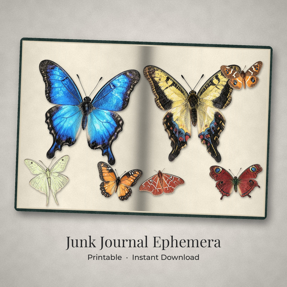 Butterflies and Moths ephemera pieces arranged on an open junk journal spread