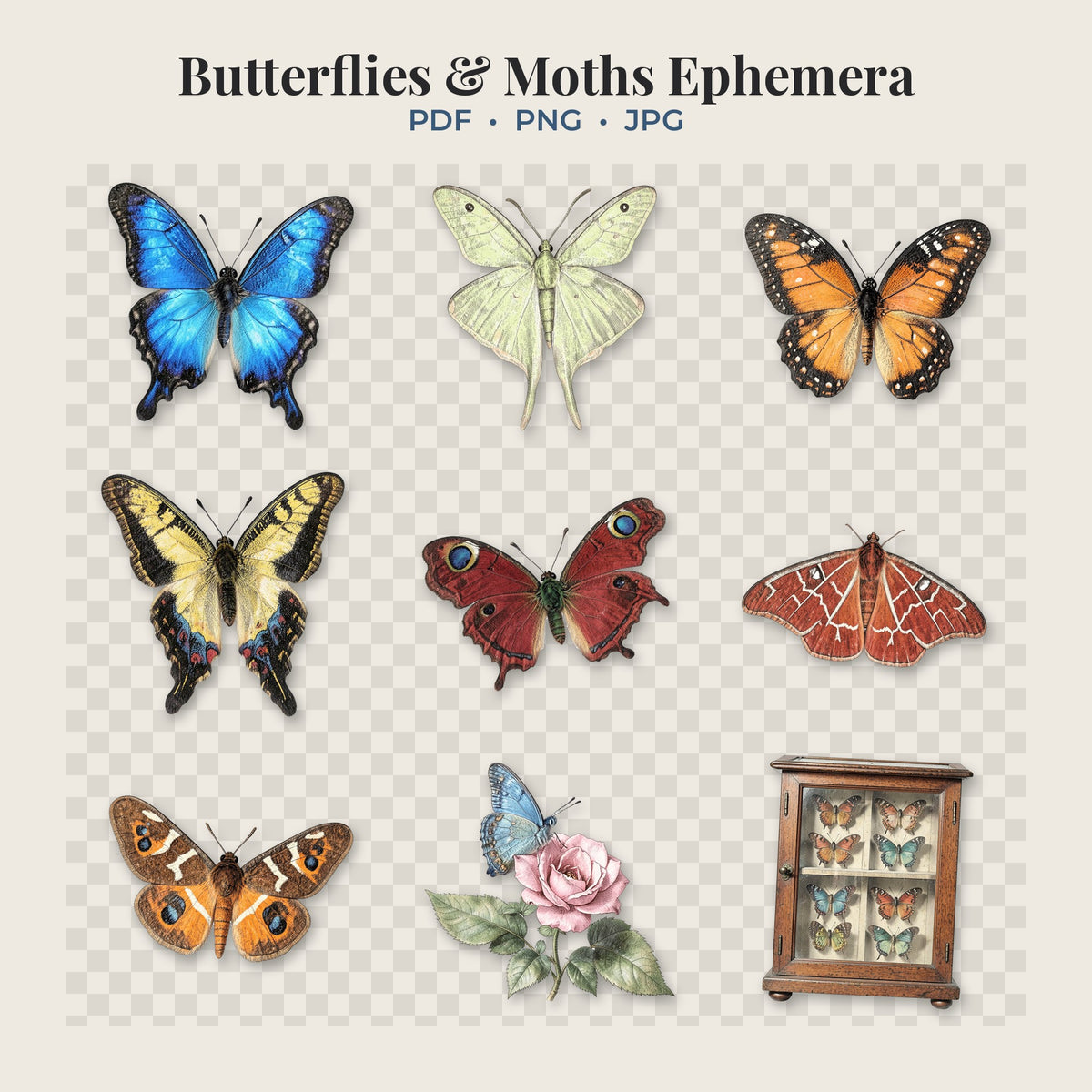Butterflies and Moths transparent PNG clipart pieces on a transparent background