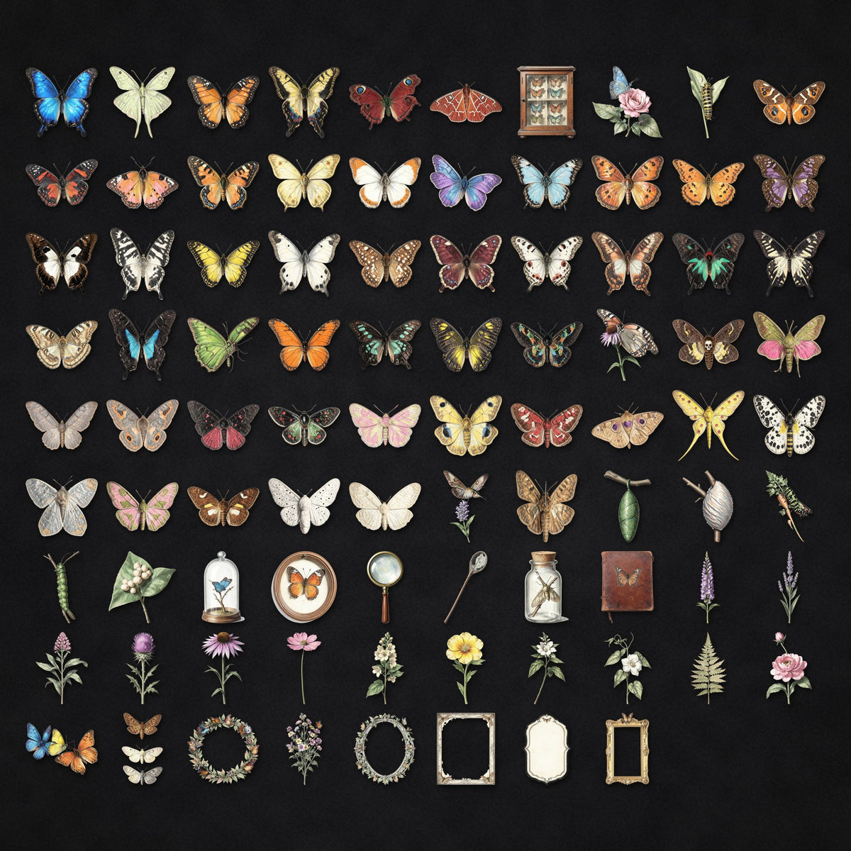 Grid of Butterflies and Moths ephemera clipart pieces