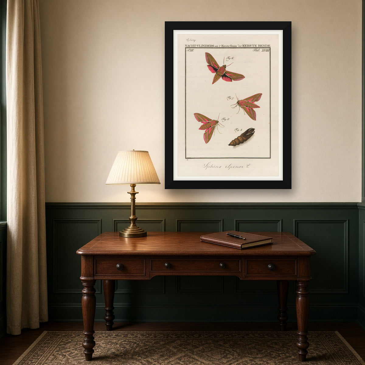Elephant Hawk-moth, Plate 18 from Nederlandsche Insecten by Jan Christiaan Sepp — framed art preview
