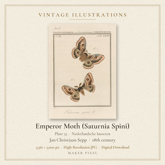 Emperor Moth (Saturnia Spini), Plate 35 from Nederlandsche Insecten by Jan Christiaan Sepp — cover