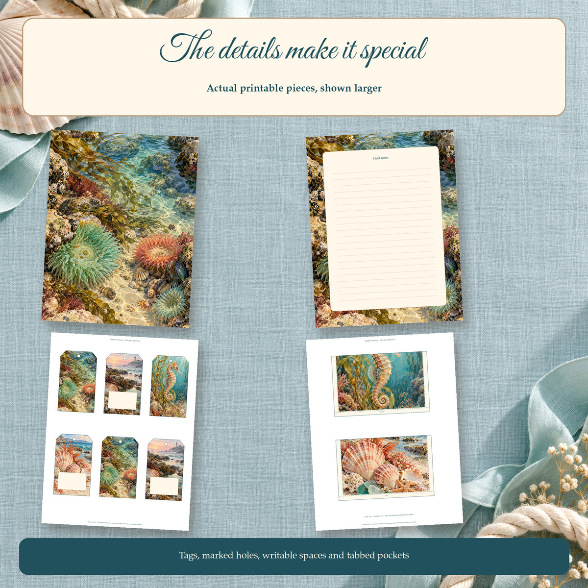 Tidepool Treasury — Close Up Previews