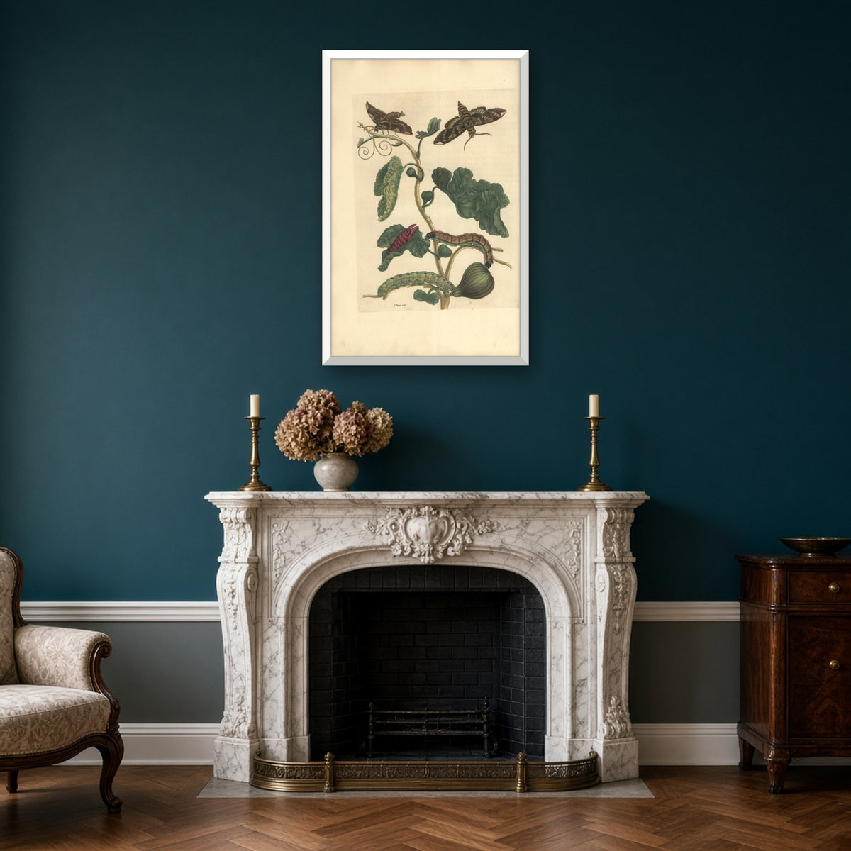 Fig with Hawk-moths and Caterpillars, Plate 33 from Metamorphosis of the Insects of Surinam by Maria Sibylla Merian — framed art preview