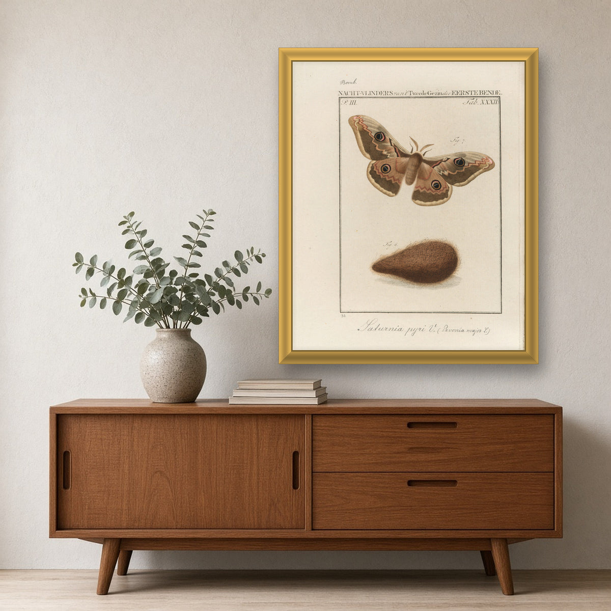 Great Peacock Moth (Saturnia Pyri), Plate 32 from Nederlandsche Insecten by Jan Christiaan Sepp — framed art preview