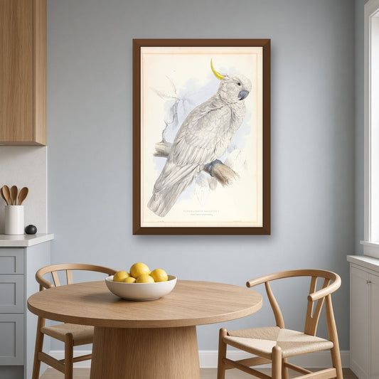 Greater Sulphur-crested Cockatoo by Edward Lear — room mockup