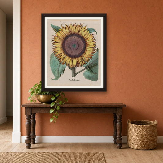 Large Sunflower (Flos Solis Maior) by Basilius Besler — room mockup