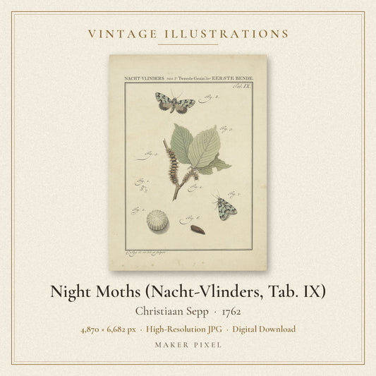 Night Moths (Nacht-Vlinders, Tab. IX) by Christiaan Sepp — cover