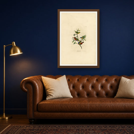 Painted Finch, Plate 53 from Birds of America by John James Audubon — room mockup