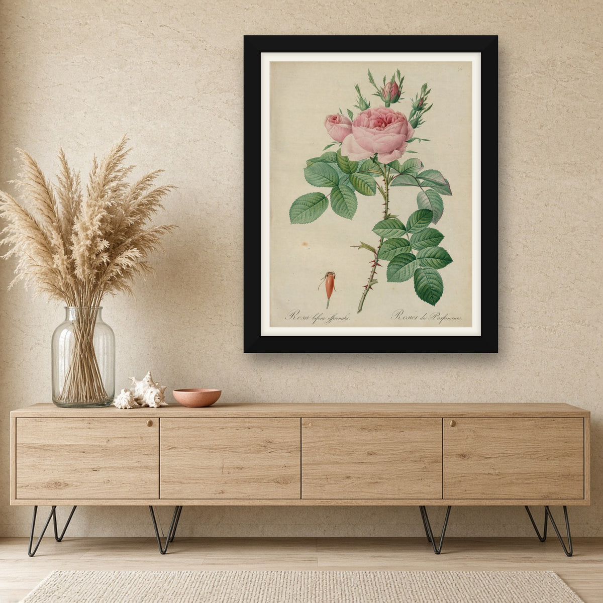 Perfumers' Rose (Rosa Bifera Officinalis), Plate 40 from Les Roses by Pierre-Joseph Redouté — framed art preview