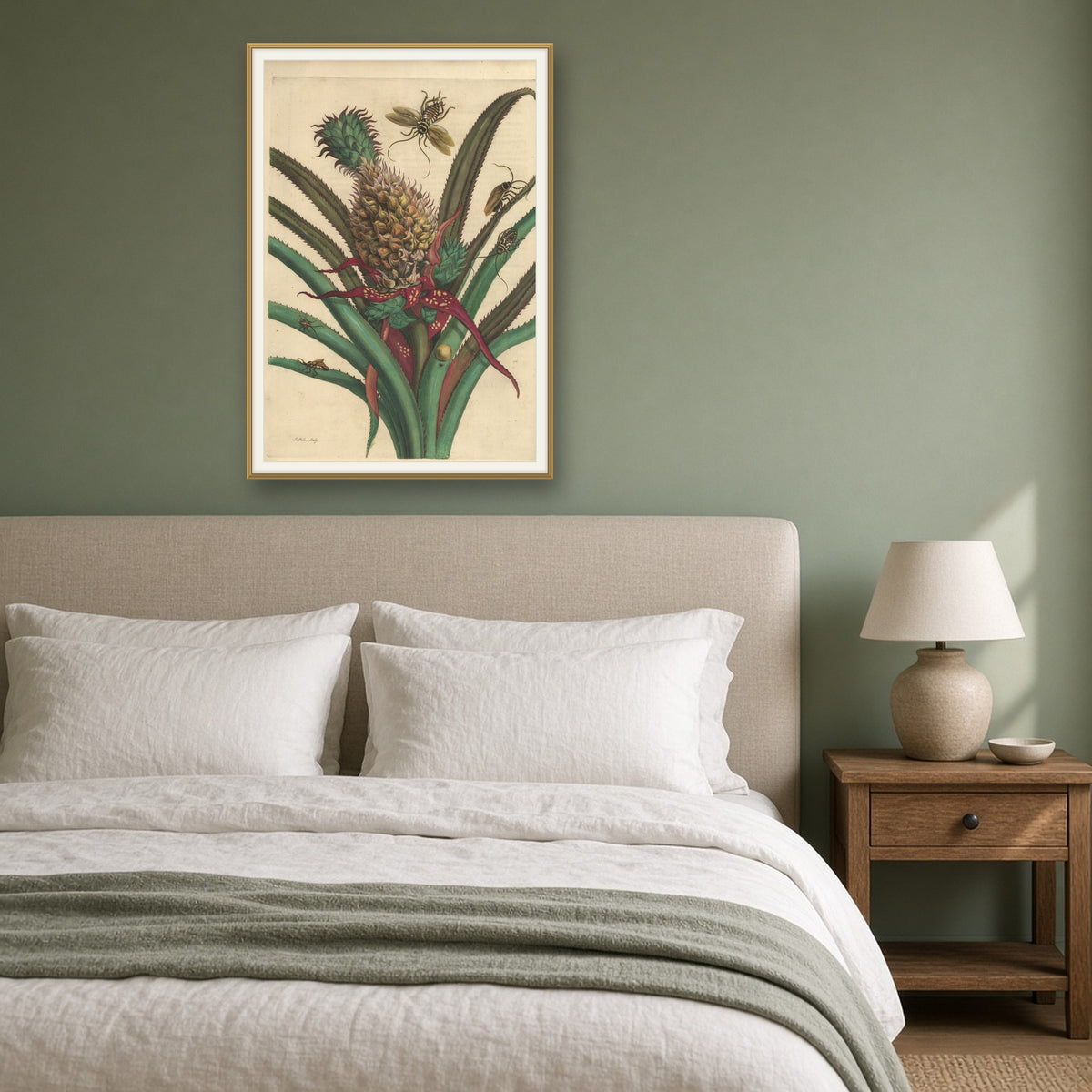 Pineapple with Cockroaches, Plate 1 from Metamorphosis of the Insects of Surinam by Maria Sibylla Merian — framed art preview