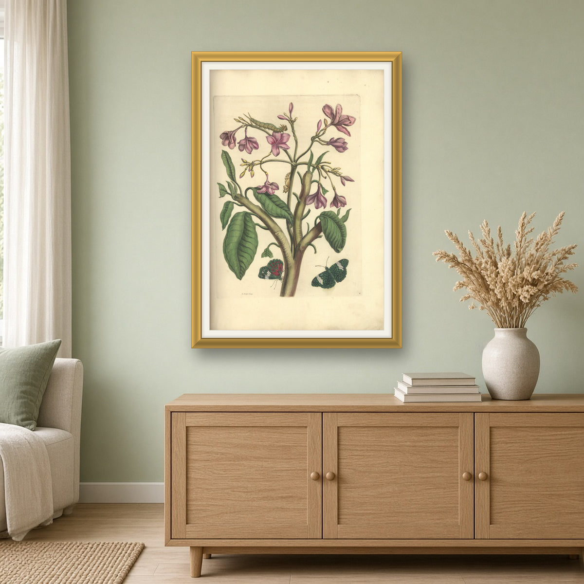 Pink Blossoms with Butterflies, Plate 8 from Metamorphosis of the Insects of Surinam by Maria Sibylla Merian — framed art preview