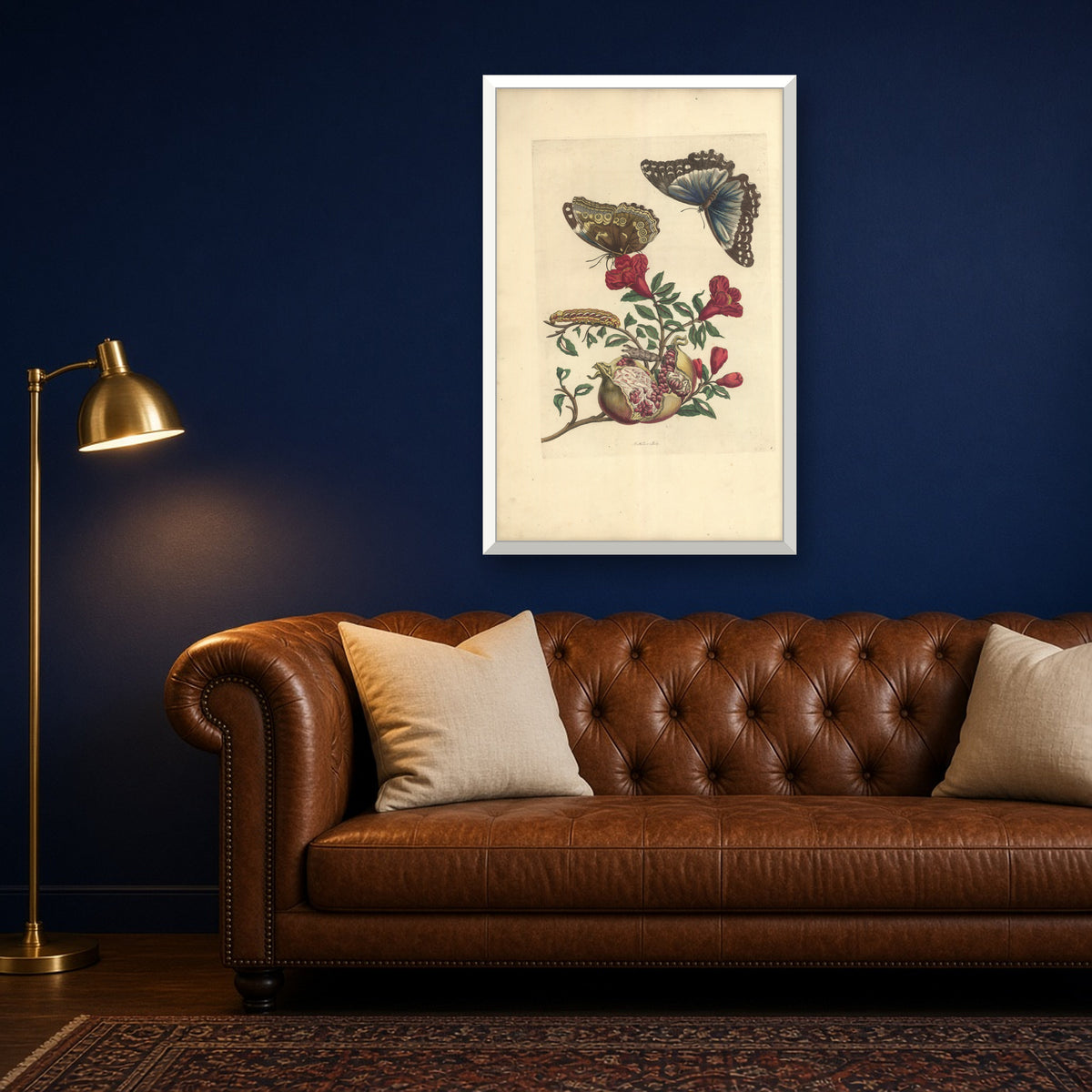 Pomegranate with Blue Morpho Butterflies, Plate 9 from Metamorphosis of the Insects of Surinam by Maria Sibylla Merian — framed art preview