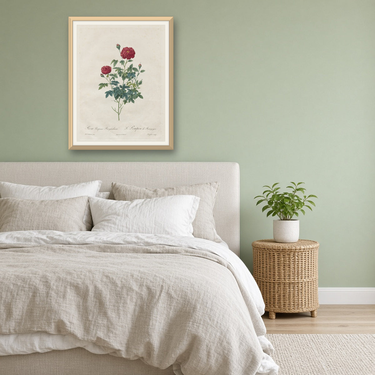 Pompon Rose by Pierre-Joseph Redouté — room mockup