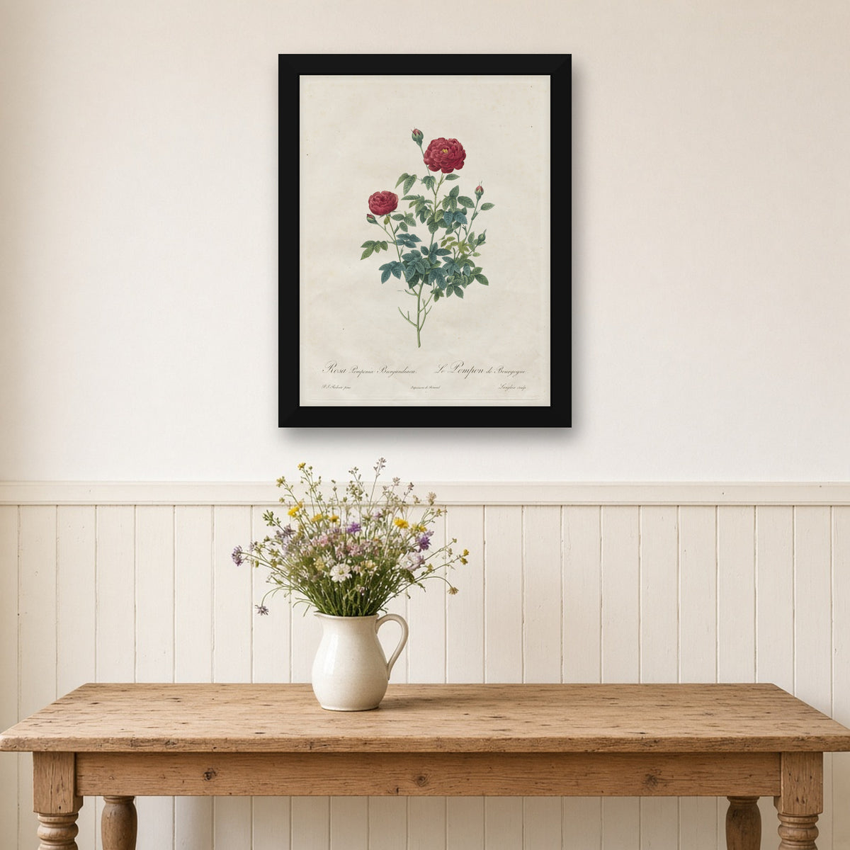Pompon Rose by Pierre-Joseph Redouté — framed art preview