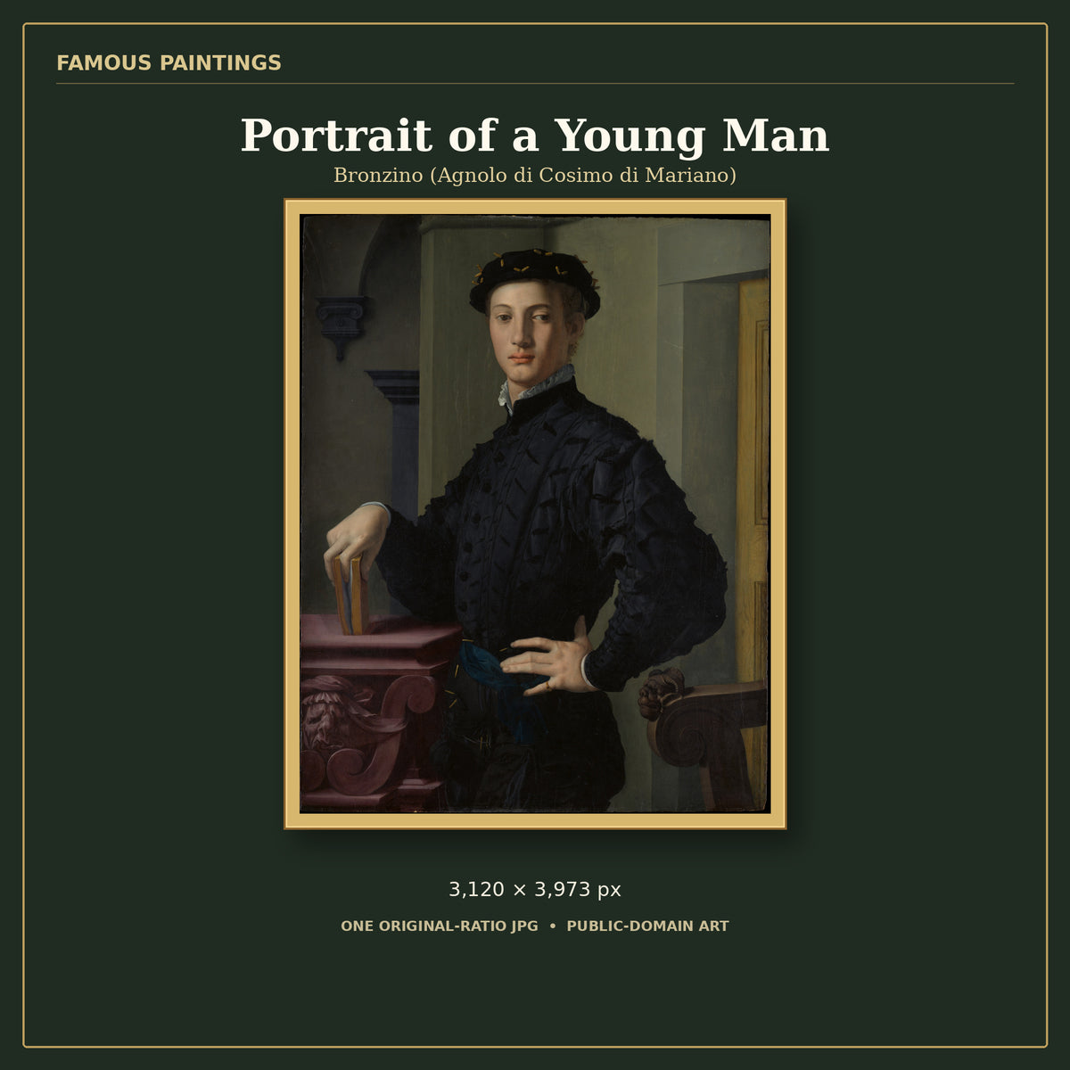 Portrait of a Young Man by Bronzino (Agnolo di Cosimo di Mariano), cover preview