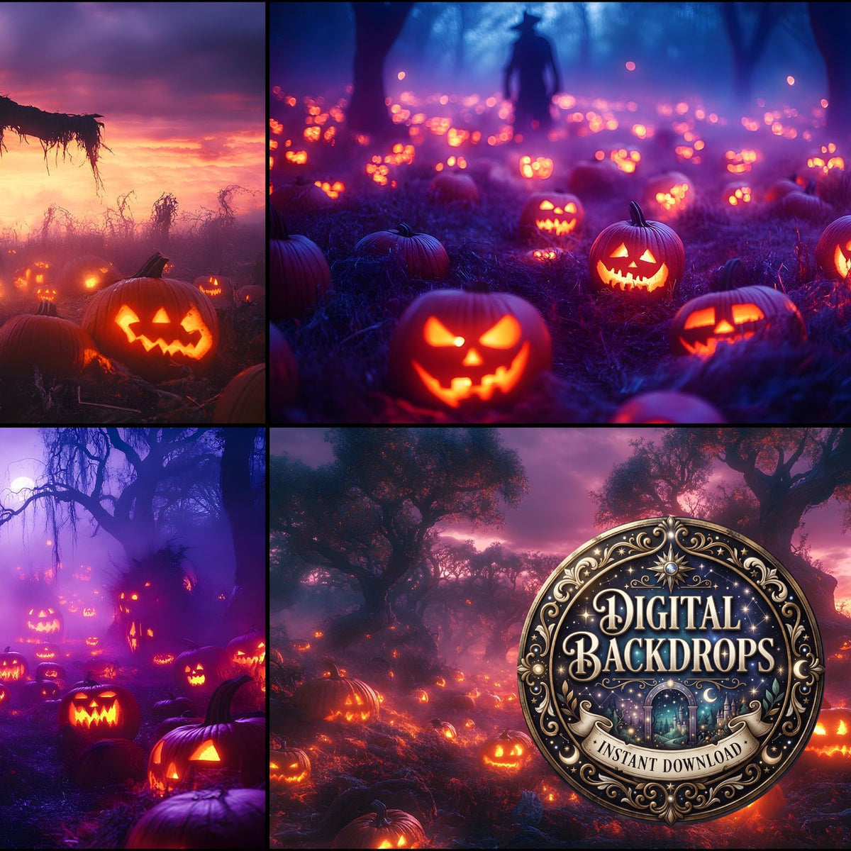 Pumpkin Field Curse Backdrop Images