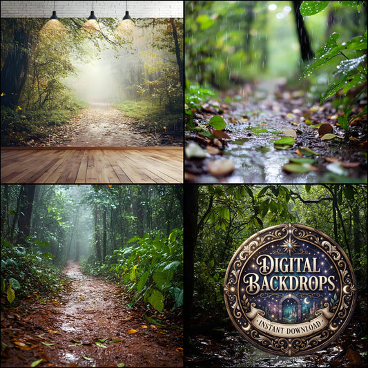 Rainy Forest Backdrop Images