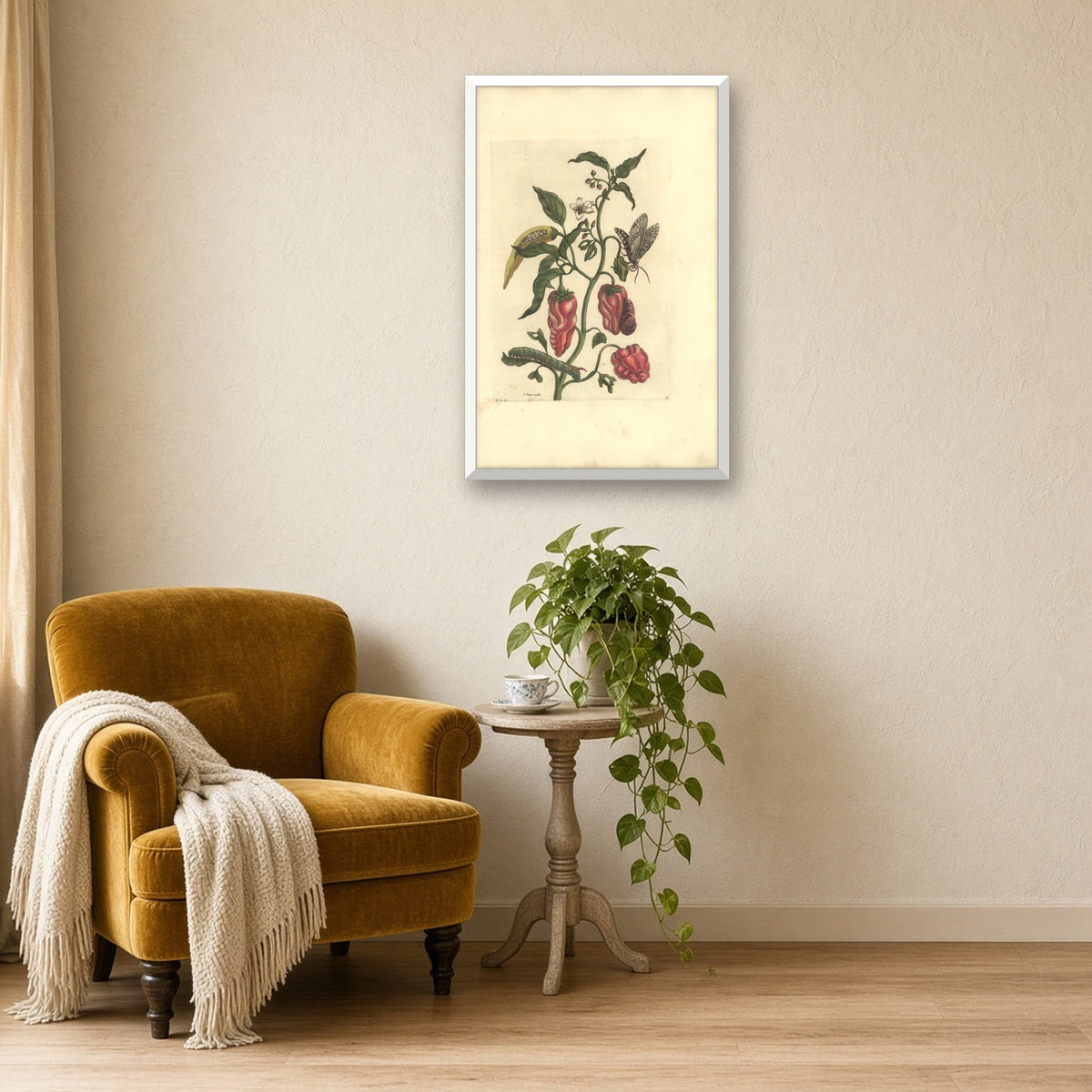 Red Peppers with Moth and Caterpillar, Plate 55 from Metamorphosis of the Insects of Surinam by Maria Sibylla Merian — framed art preview