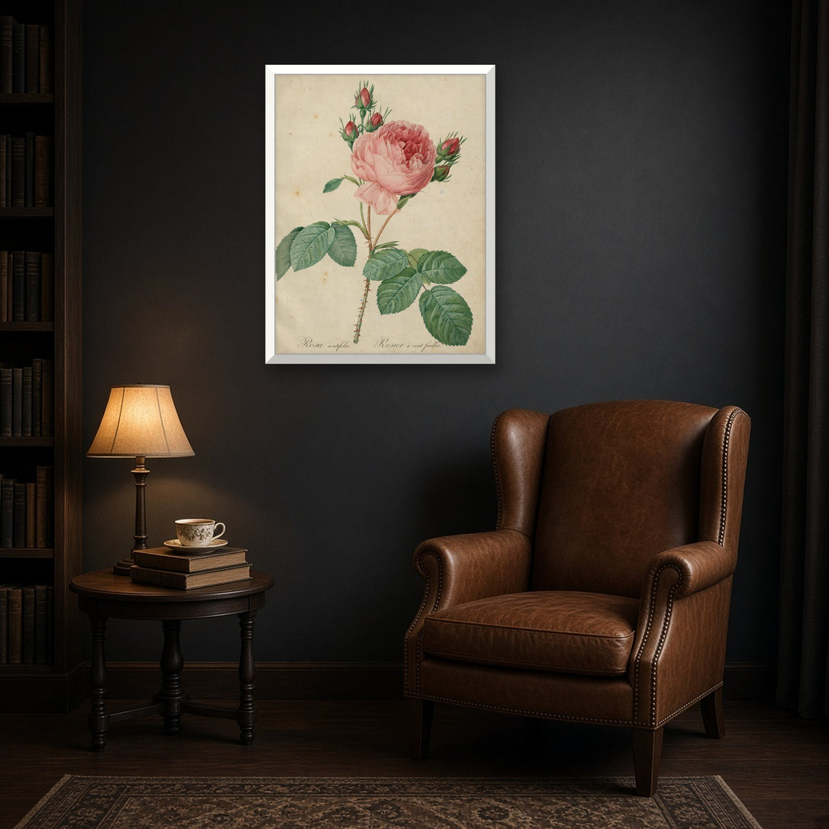 Cabbage Rose (Rosa Centifolia), Plate 1 from Les Roses by Pierre-Joseph Redouté — room mockup