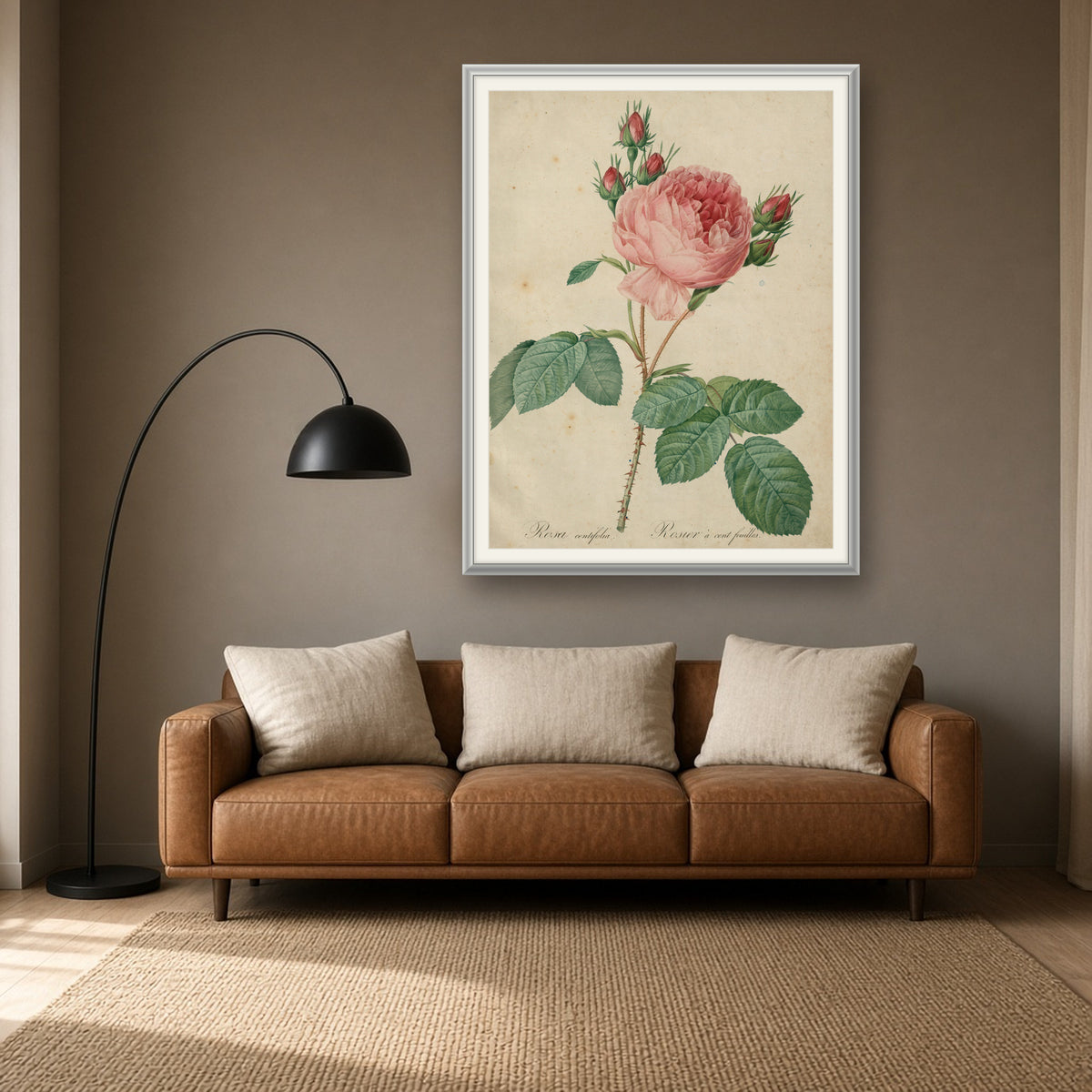 Cabbage Rose (Rosa Centifolia), Plate 1 from Les Roses by Pierre-Joseph Redouté — framed art preview