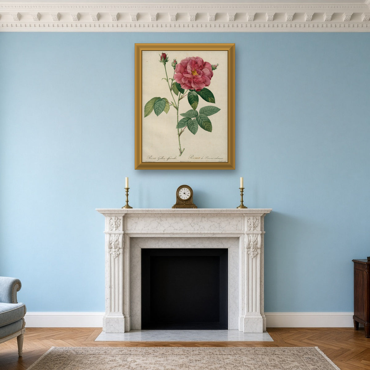 Apothecary's Rose (Rosa Gallica Officinalis), Plate 24 from Les Roses by Pierre-Joseph Redouté — room mockup