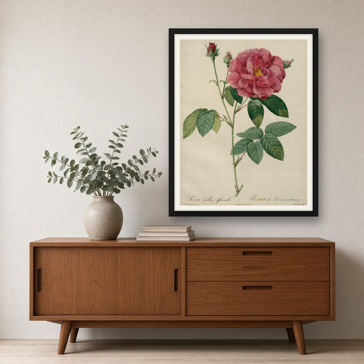 Apothecary's Rose (Rosa Gallica Officinalis), Plate 24 from Les Roses by Pierre-Joseph Redouté — framed art preview