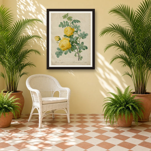 Sulphur Rose (Rosa Sulfurea), Plate 3 from Les Roses by Pierre-Joseph Redouté — room mockup