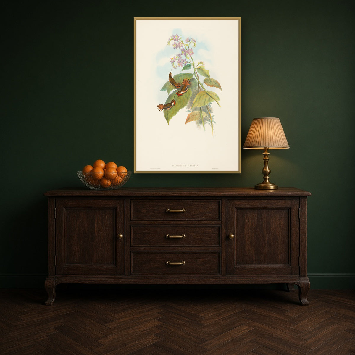 Scintillant Hummingbird (Selasphorus Scintilla) from A Monograph of the Trochilidae by John Gould — room mockup