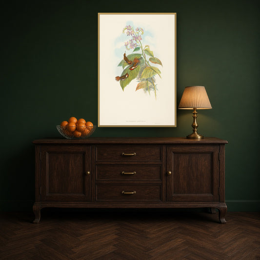 Scintillant Hummingbird (Selasphorus Scintilla) from A Monograph of the Trochilidae by John Gould — room mockup