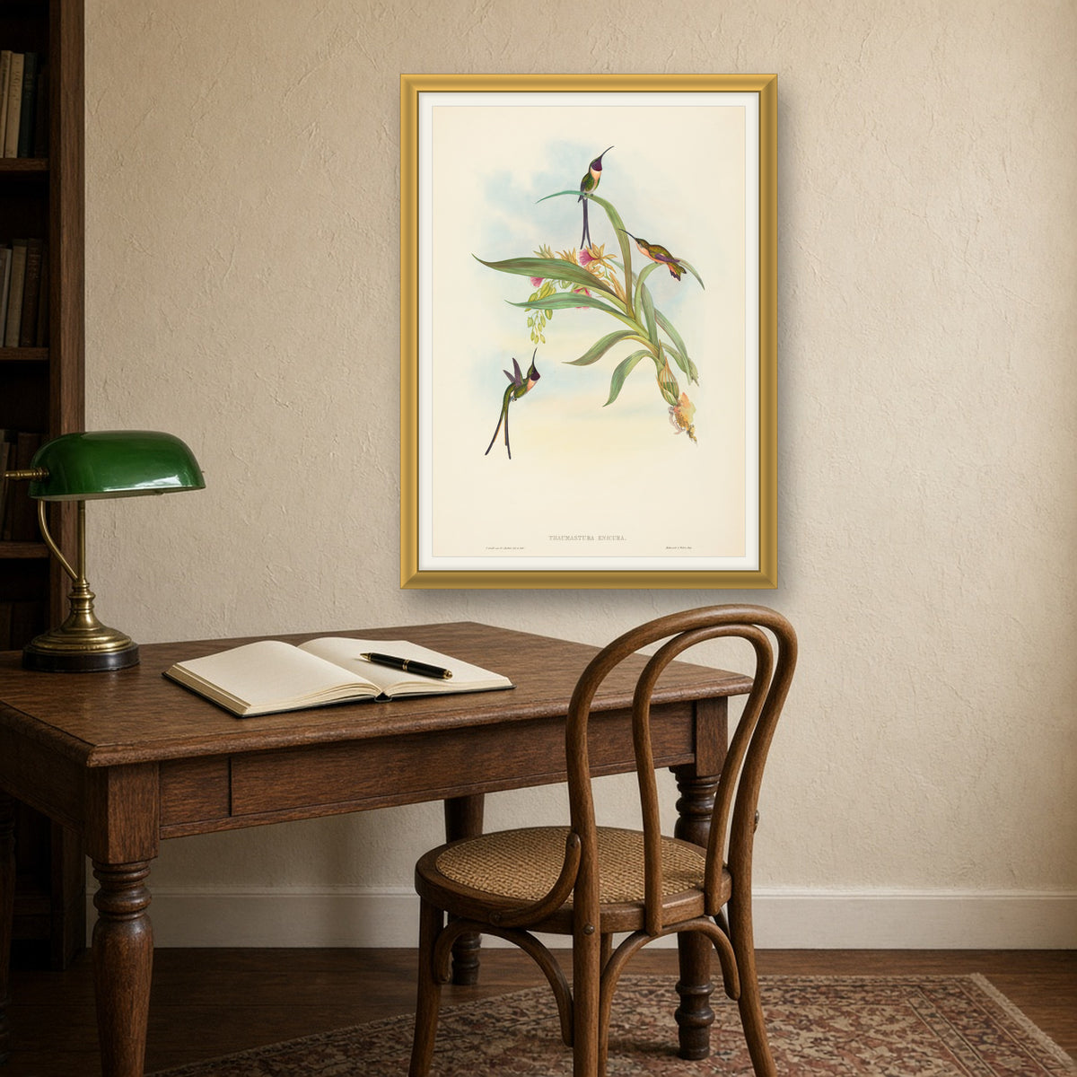 Slender Sheartail Hummingbird (Thaumastura Enicura) from A Monograph of the Trochilidae by John Gould — framed art preview