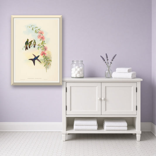 Small-billed Thornbill Hummingbird (Ramphomicron Microrhyncha) from A Monograph of the Trochilidae by John Gould — room mockup