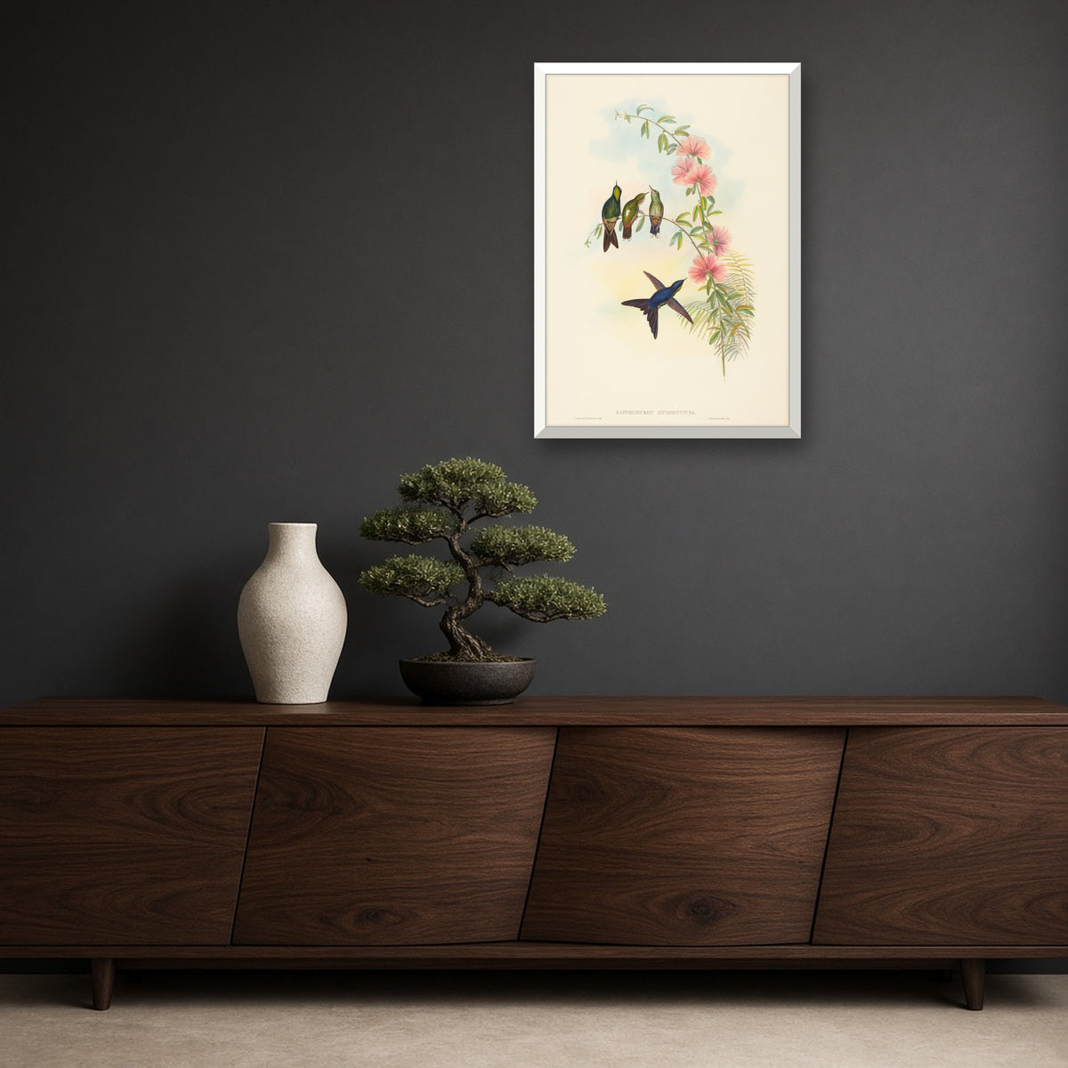 Small-billed Thornbill Hummingbird (Ramphomicron Microrhyncha) from A Monograph of the Trochilidae by John Gould — framed art preview