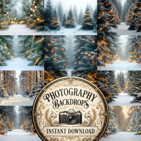 Snowy Forest Backdrop Images